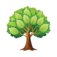 Beautiful Single Big Tree Illustration vector
