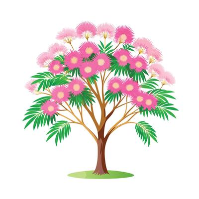 Beautiful Single Big Tree Illustration