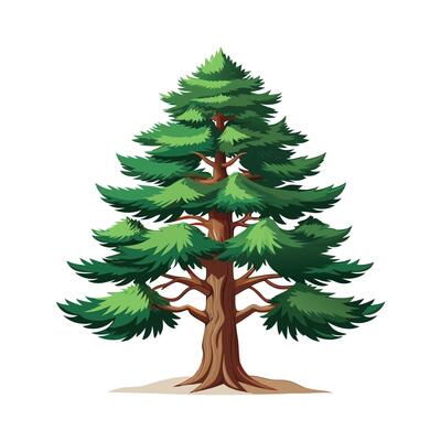 Beautiful Single Big Tree Illustration