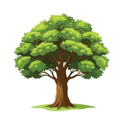 Beautiful Single Big Tree Illustration