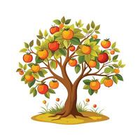 Beautiful Single Big Tree Illustration vector