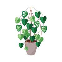 Beautiful Flowerpot Houseplant Illustration vector
