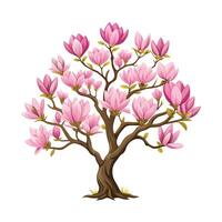 Beautiful Single Big Tree Illustration vector