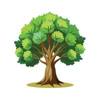 Beautiful Single Big Tree Illustration vector