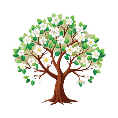 Beautiful Single Big Tree Illustration