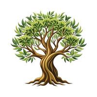 Beautiful Single Big Tree Illustration vector