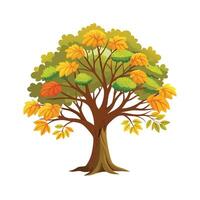 Beautiful Single Big Tree Illustration vector