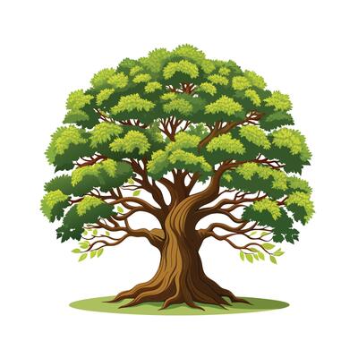 Beautiful Single Big Tree Illustration