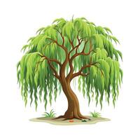 Beautiful Single Big Tree Illustration vector