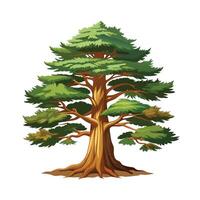 Beautiful Single Big Tree Illustration vector