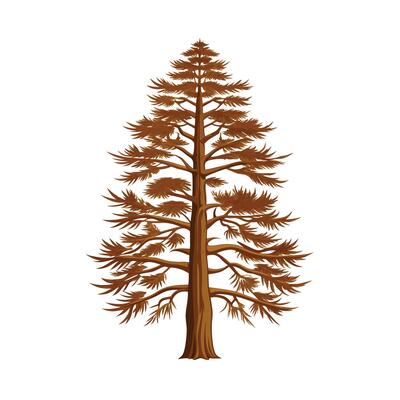 Beautiful Single Big Tree Illustration