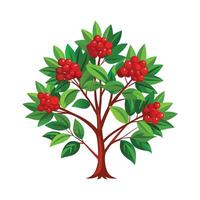 Beautiful Single Big Tree Illustration vector