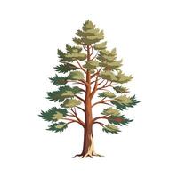 Beautiful Single Big Tree Illustration vector