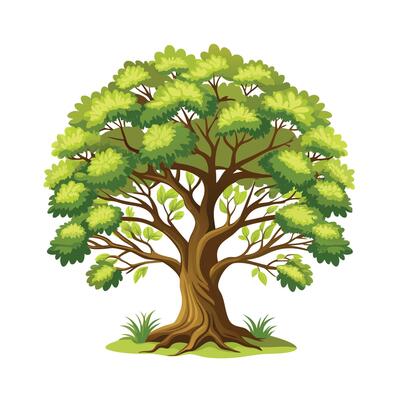 Beautiful Single Big Tree Illustration