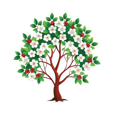 Beautiful Single Big Tree Illustration