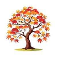 Beautiful Single Big Tree Illustration vector