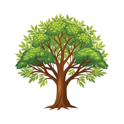 Beautiful Single Big Tree Illustration