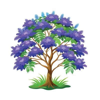 Beautiful Single Big Tree Illustration