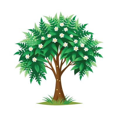 Beautiful Single Big Tree Illustration