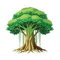 Beautiful Single Big Tree Illustration vector