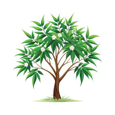 Beautiful Single Big Tree Illustration