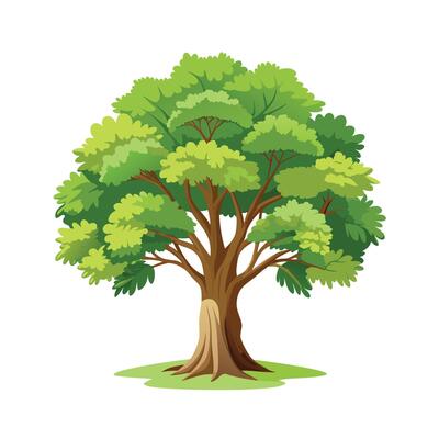 Beautiful Single Big Tree Illustration
