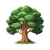 Beautiful Single Big Tree Illustration vector