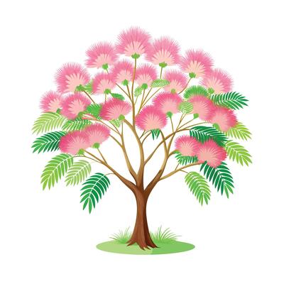 Beautiful Single Big Tree Illustration