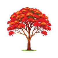 Beautiful Single Big Tree Illustration vector
