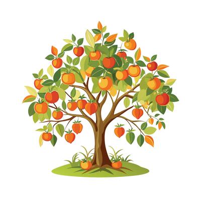 Beautiful Single Big Tree Illustration