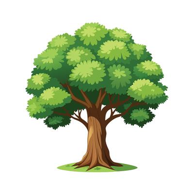 Beautiful Single Big Tree Illustration