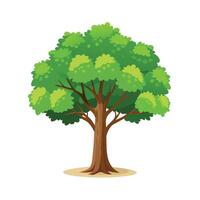 Beautiful Single Big Tree Illustration vector