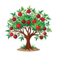 Beautiful Single Big Tree Illustration vector
