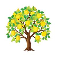 Beautiful Single Big Tree Illustration vector