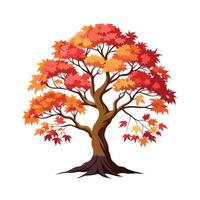 Beautiful Single Big Tree Illustration vector