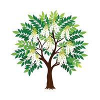 Beautiful Single Big Tree Illustration vector