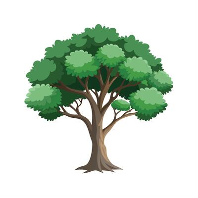 Beautiful Single Big Tree Illustration