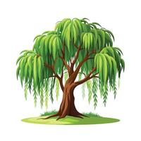 Beautiful Single Big Tree Illustration vector
