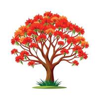 Beautiful Single Big Tree Illustration vector