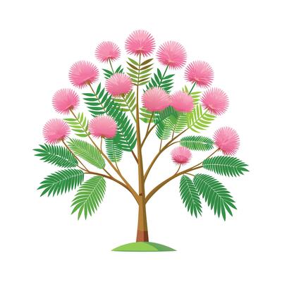 Beautiful Single Big Tree Illustration