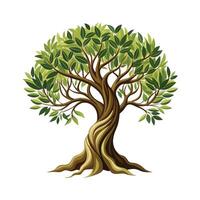 Beautiful Single Big Tree Illustration vector