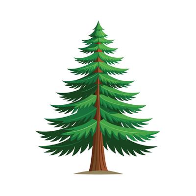 Beautiful Single Big Tree Illustration
