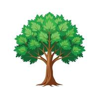 Beautiful Single Big Tree Illustration vector