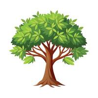 Beautiful Single Big Tree Illustration vector