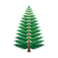 Beautiful Single Big Tree Illustration vector