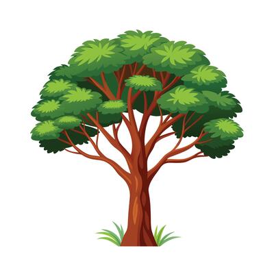 Beautiful Single Big Tree Illustration