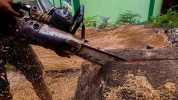 A man woodcutter is cutting a log using a chainsaw. photo