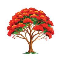 Beautiful Single Big Tree Illustration vector