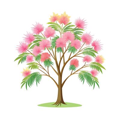 Beautiful Single Big Tree Illustration
