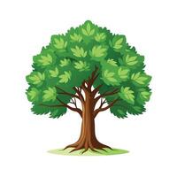 Beautiful Single Big Tree Illustration vector